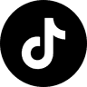 TikTok Icon